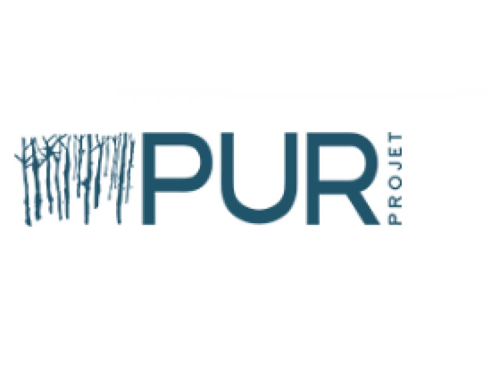 PUR PROJECT